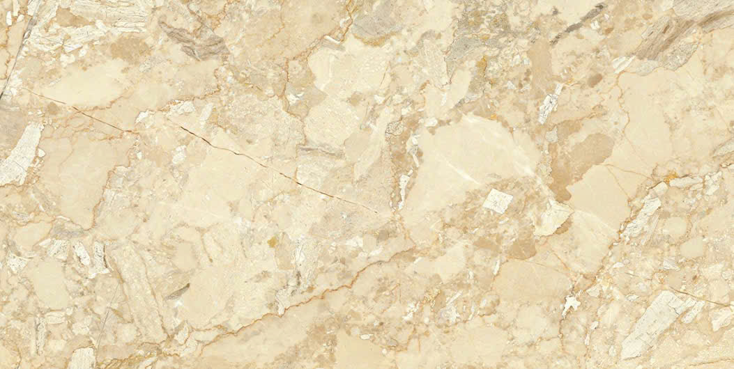Gạch F61248006R